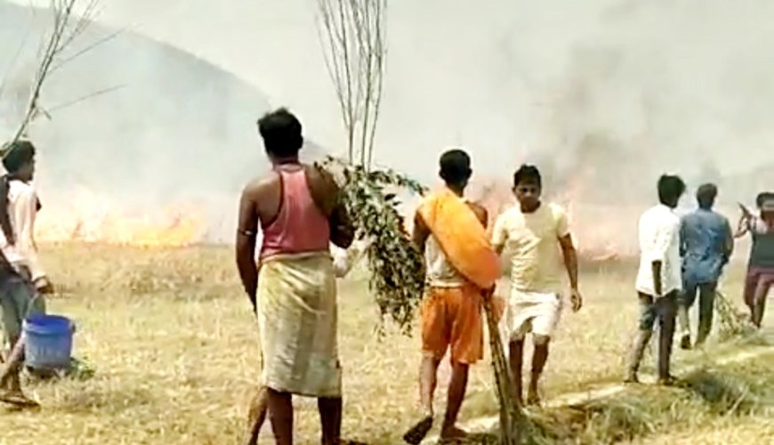 पलामू में पांच एकड़ में लगी गेहूं की खड़ी फसल जलकर नष्ट, भारी नुकसान