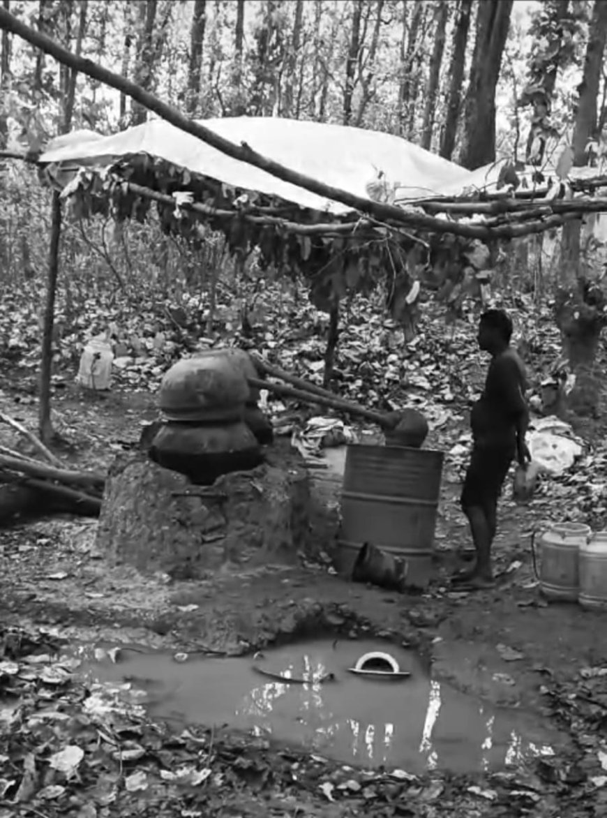 कुम्बा खुर्द के जंगल में चल रहा शराब माफियाओं का राज