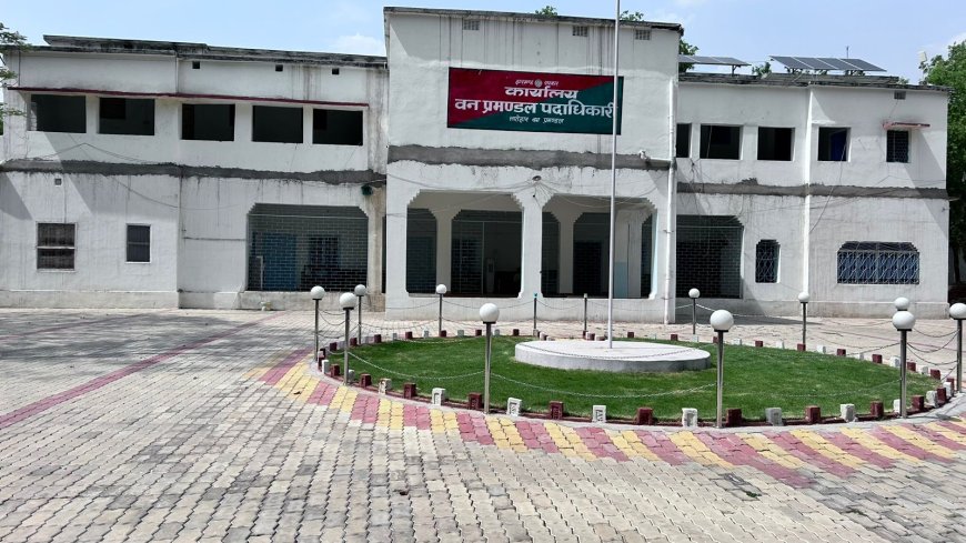 लातेहार वन विभाग के कर्मी हफ्ते में एक दिन बिना आयरन किया हुआ कपड़ा पहन कर आएंगे ऑफिस