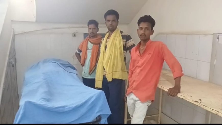 हाथियों के झुंड ने पीडीएस डीलर को कुचल कर मार डाला