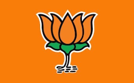 भवनाथपुर में भाजपा का मतलब भानू जन पार्टी