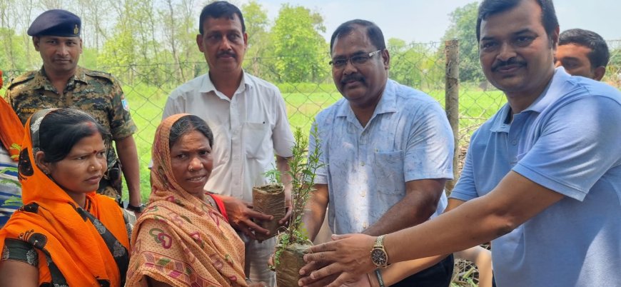 आयुक्त ने बसना में सहदेव पांडेय फार्म हाउस में आयोजित कार्यक्रम में किया पौधा वितरित