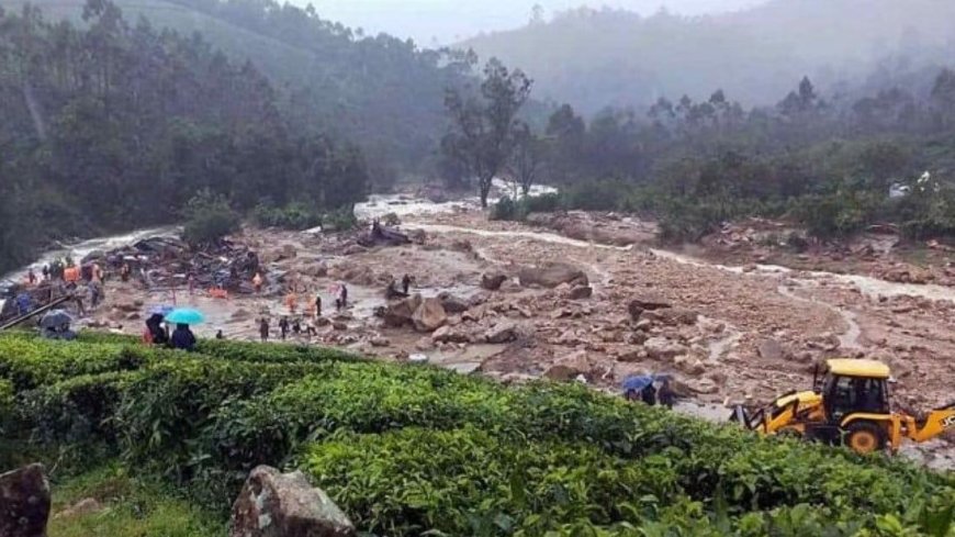 वायनाड आपदा में अब तक 36 की मौत