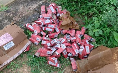 विशुनपुरा में बायीं बांकी नहर से दवा बरामद, जांच में जुटी पुलिस