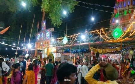 श्री कृष्ण जन्माष्टमी पर भक्ति में डूबा श्री बंशीधर नगर