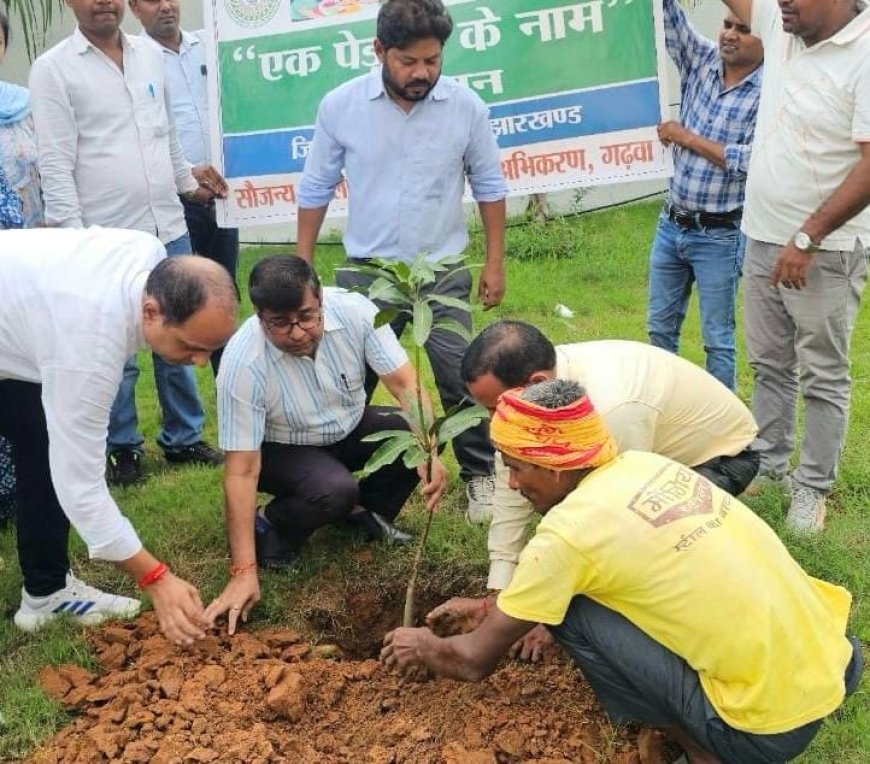 एक पेड़ मां के नाम अभियान के तहत डीडीसी ने लगाया पौधा