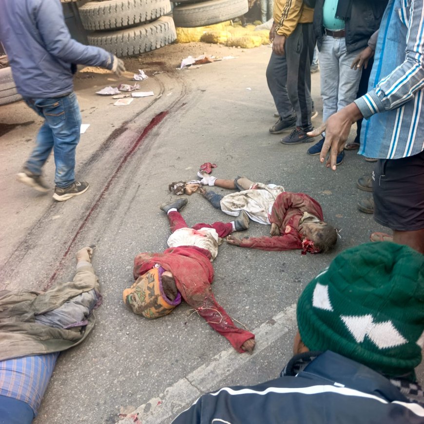 स्कूली बच्चों से भरे ऑटो को ट्रक ने मारी टक्कर, तीन बच्चे और ड्राइवर की मौत