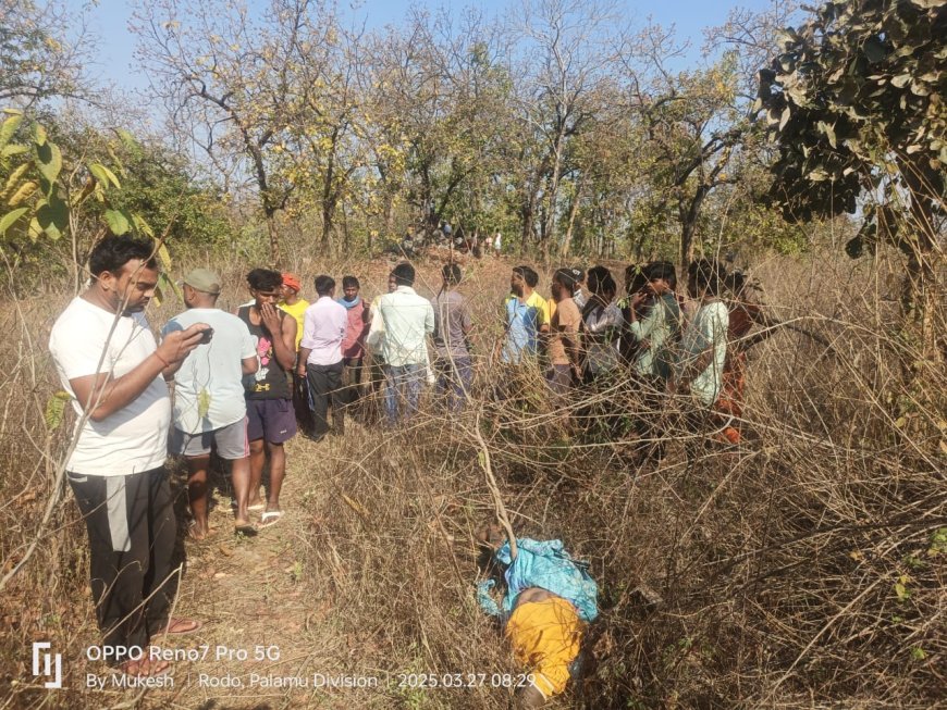 महुआ चुनने गई महिला की हाथियों के झुंड ने ली जान