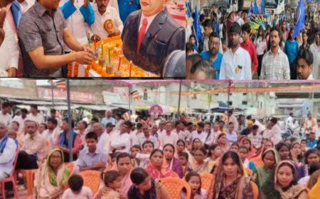 मेराल में धूमधाम से मनाई गई अंबेडकर जयंती