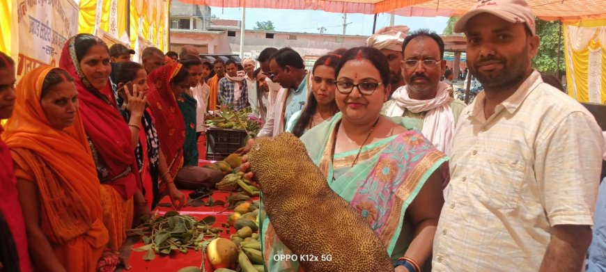 आम महोत्सव सह बागवानी मेला का आयोजन