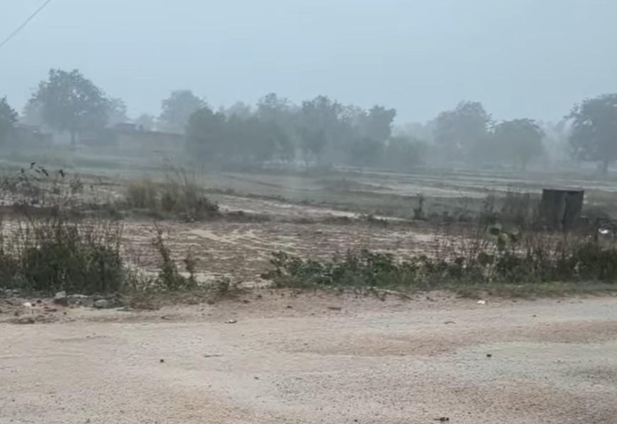मानसून की पहली बारिश ने बदला मौसम का मिज़ाज, गर्मी से लोगों को मिली राहत