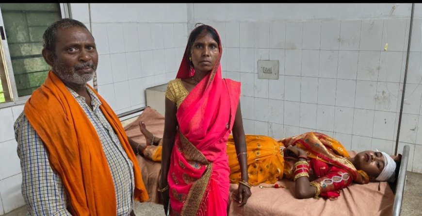 वज्रपात की घटना में महिला घायल