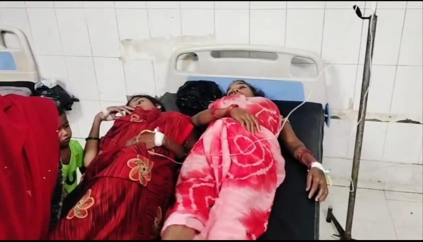 जंगली मशरूम खाने से एक ही परिवार के छह सहित नौ लोग बीमार