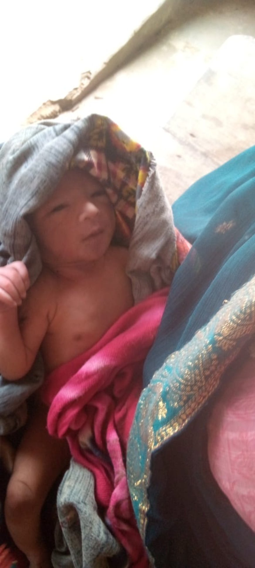 ममता हुई शर्मसार, झाड़ियों में मिला नवजात