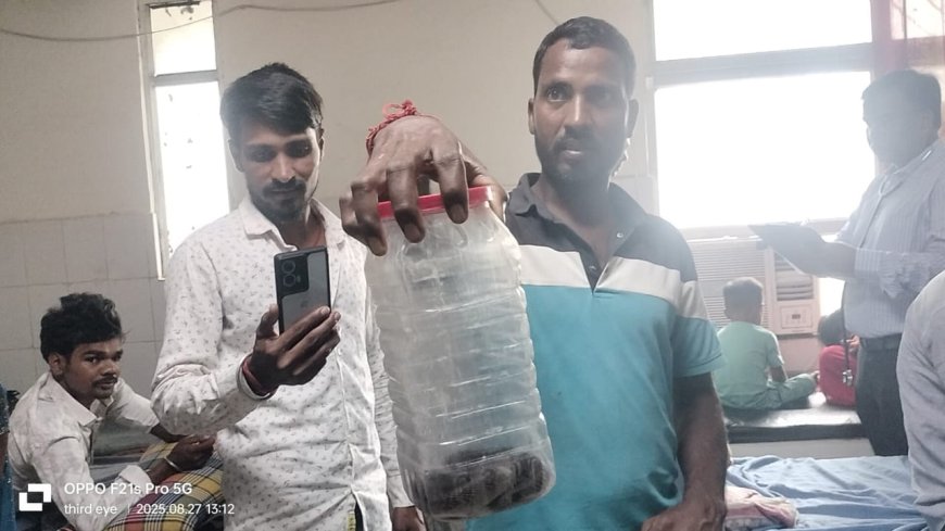सांप ने डसा तो डब्बे में जिंदा सर्प लेकर इलाज के लिए पहुंचे परिजन