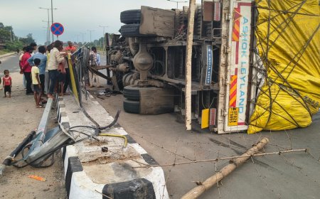 नवनिर्मित हाईवे पर डिवाइडर से टकराकर पलटा ट्रक, बाल बाल बचे चालक और उपचालक
