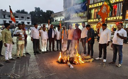 भाजपाईयों ने स्वास्थ्य मंत्री का किया पुतला दहन