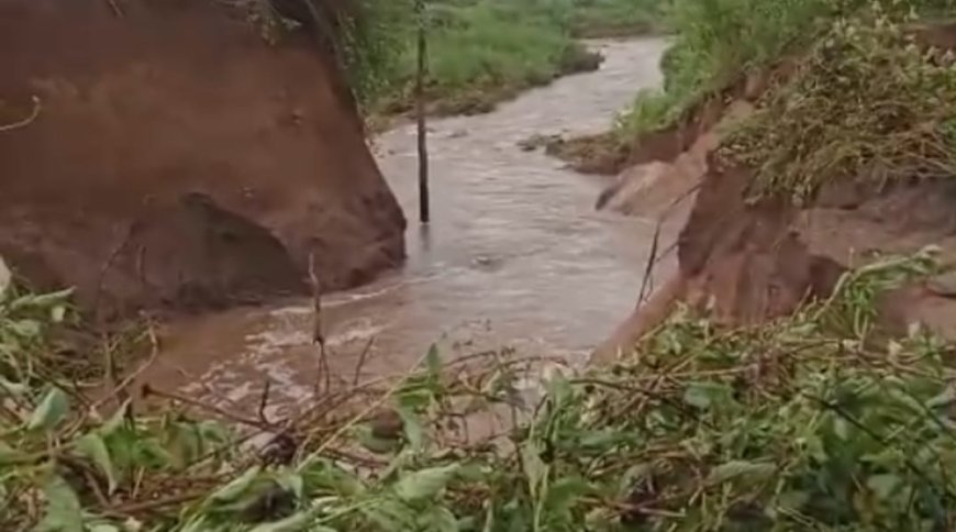 भारी बारिश टूटा बांध, कई एकड़ में धान की फसल बर्बाद