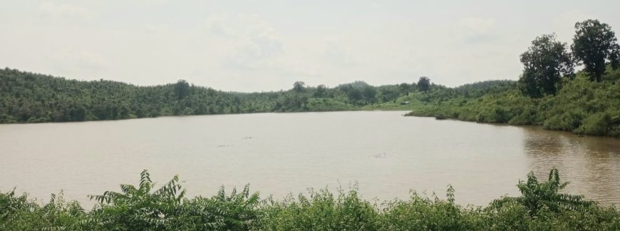 भवनाथपुर के कड़िया डैम में तेज रिसाव, क्षेत्र में फैली अफरा-तफरी