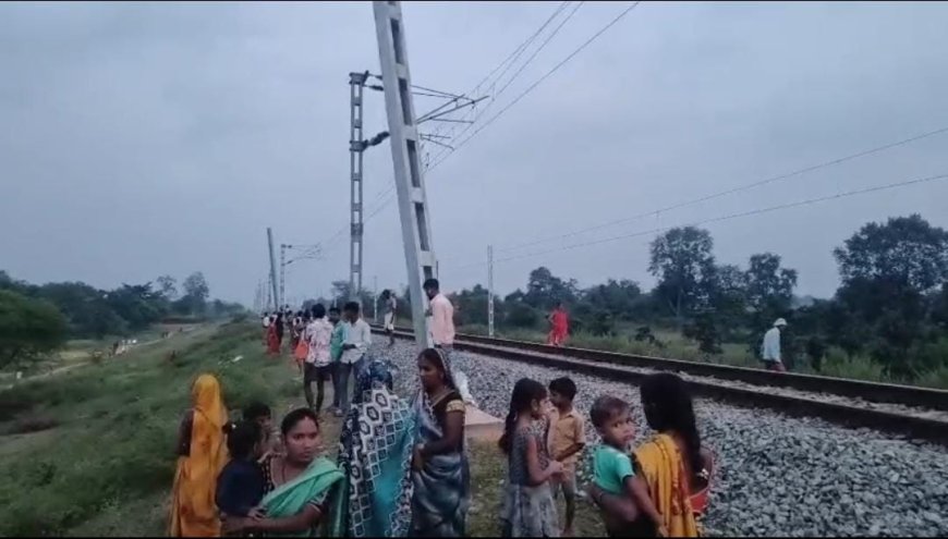 ट्रेन की चपेट में आने से एक महिला तथा दो पशुओं की मौत