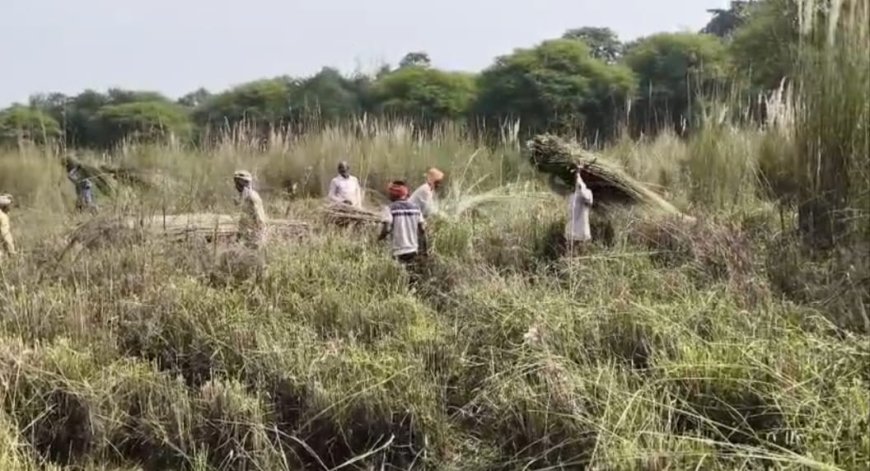 35 वर्षों बाद बलियारी गांव में फिर गूंजेगा श्री लक्ष्मी नारायण महायज्ञ का मंगलघोष