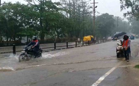 झारखंड के नौ जिलों में वज्रपात और ओलावृष्टि को लेकर २७ को ऑरेंज अलर्ट