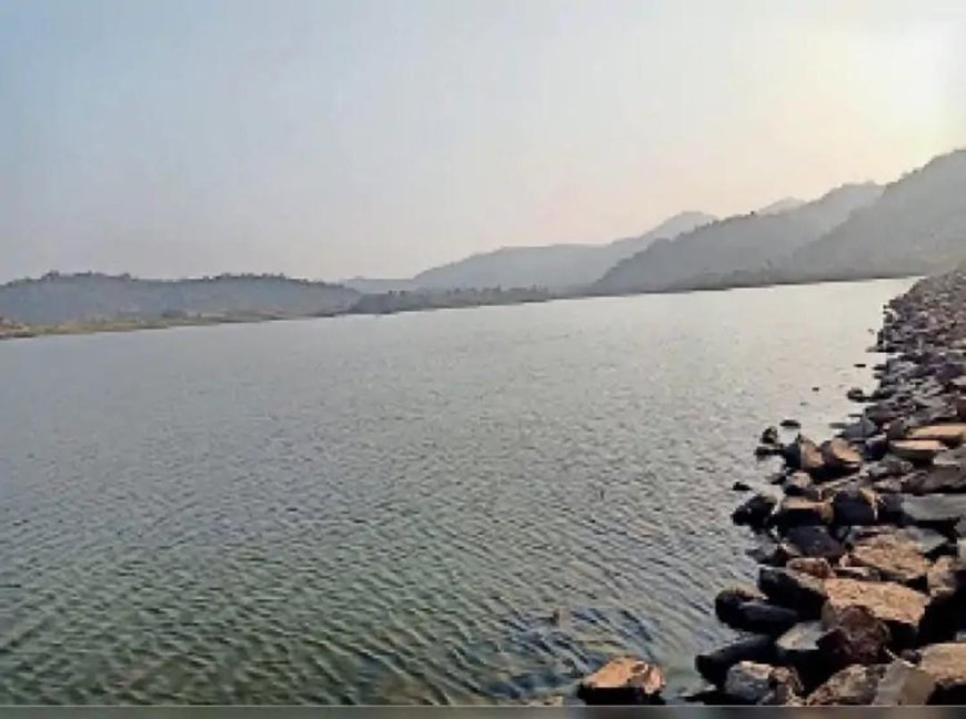 मधुमक्खियों के हमले से बचने के लिए डैम में कूदा युवक, मौत