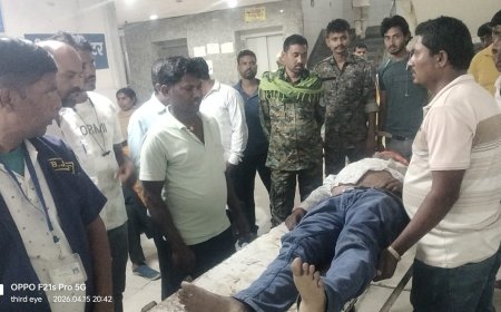 पलामू में डालटनगंज-रांची पर बाइक व ऑटो की भिड़ंत में दो की मौत