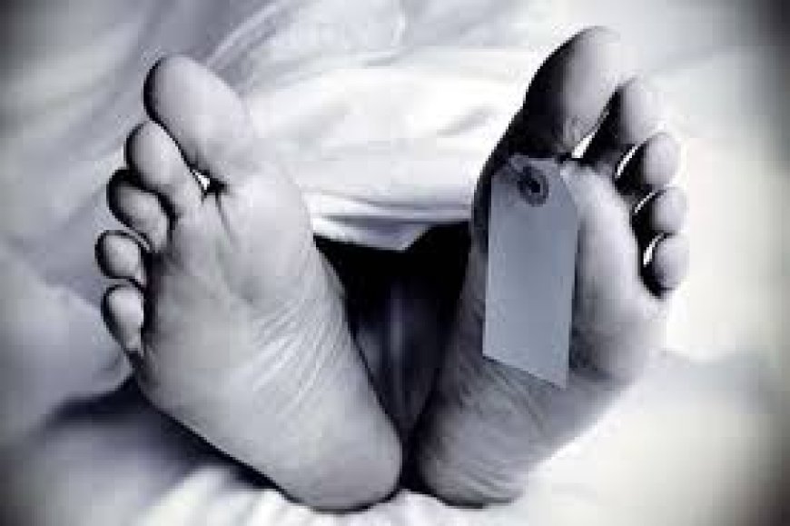 कुटी काटने में फंसकर मजदूर के कटे दोनों हाथ, अधिक खून बहने से मौत