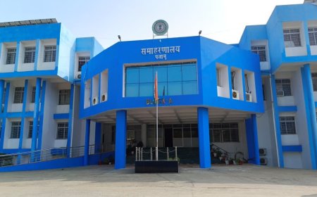 पलामू में एसआईआर अभियान ने पकड़ी रफ्तार, 94 से 98 प्रतिशत घरों तक पहुंचे गणना प्रपत्र