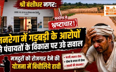 मनरेगा में गड़बड़ी के आरोपों से पंचायतों के विकास पर उठे सवाल