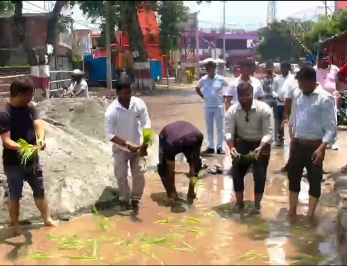 सड़क पर गड्ढे के कारण बनी तालाब, युवाओं ने धान रोपकर जताया आक्रोश
