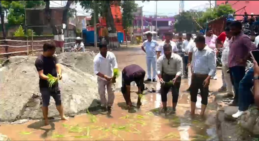 सड़क पर गड्ढे के कारण बनी तालाब, युवाओं ने धान रोपकर जताया आक्रोश