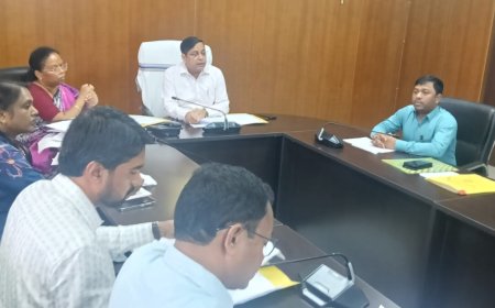 विकास योजनाओं में लापरवाही पर कार्रवाई की चेतावनी