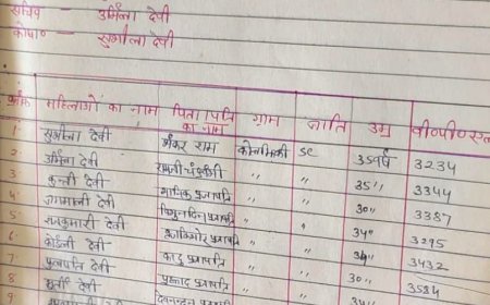 ग्रामसभा से चयनित अध्यक्ष को हटाकर मनमाने तरीके से पीडीएस दुकान चलाने का आरोप